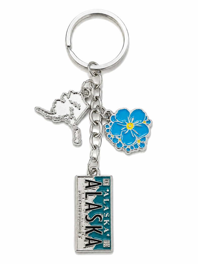 Alaska Aurora Charm Keyring