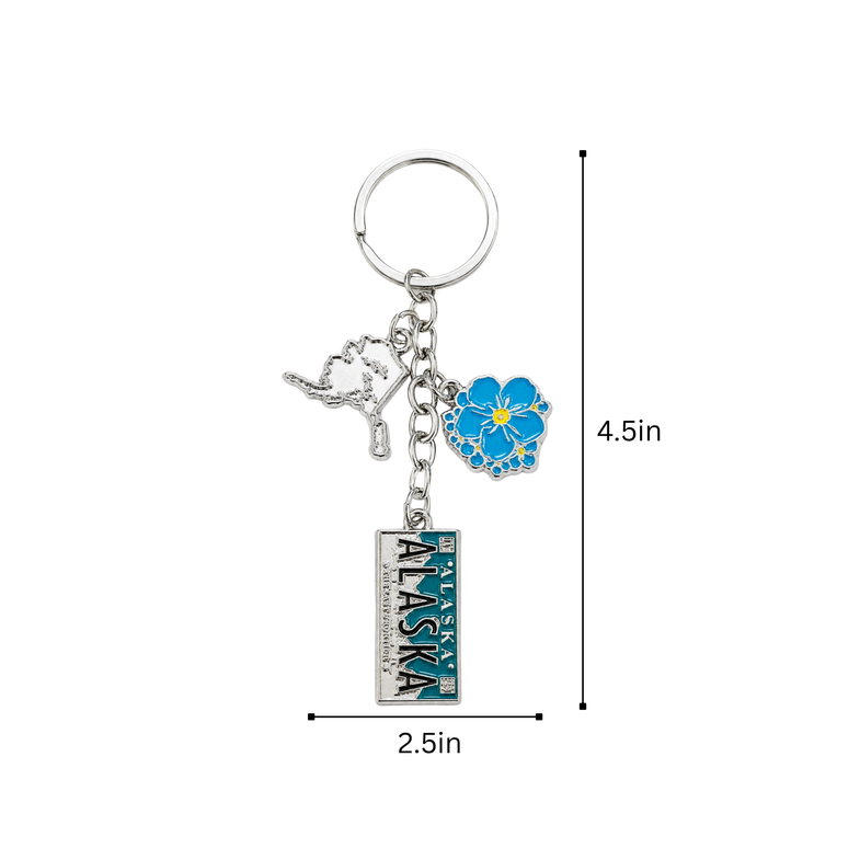 Alaska Aurora Charm Keyring