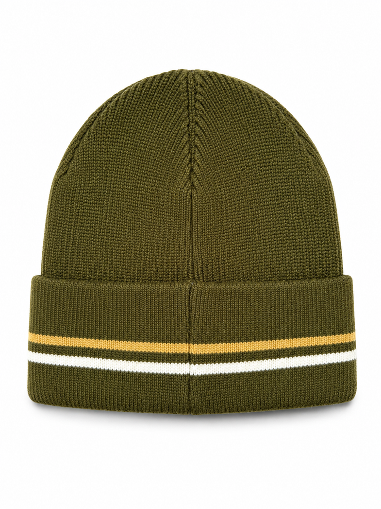 Alaska Bear Stripe Beanie